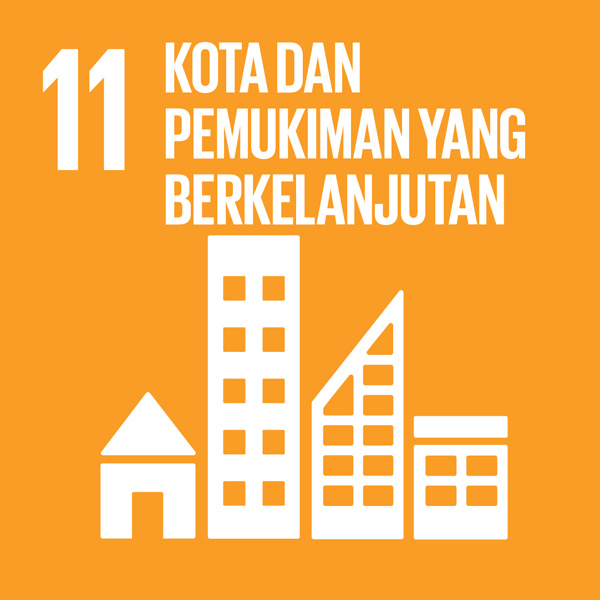 SDG 11