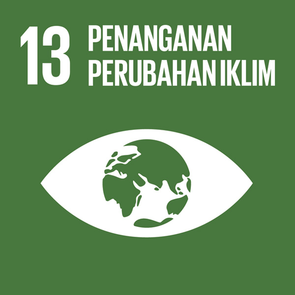 SDG 13