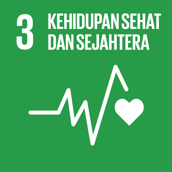 SDG 3